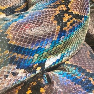 Meet your Posher, Paris